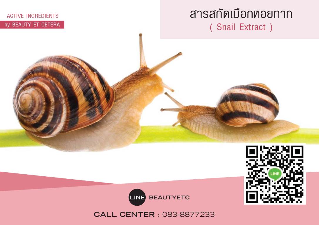 SNAIL EXTRACT โรงงาน ผลิต ครีม
